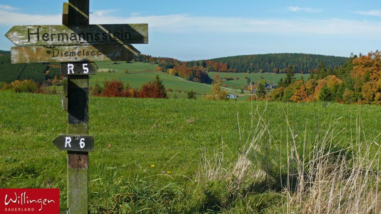 Goebels Landhotel Willingen  Eksteriør bilde